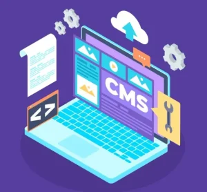 web sitesi kurma (49)