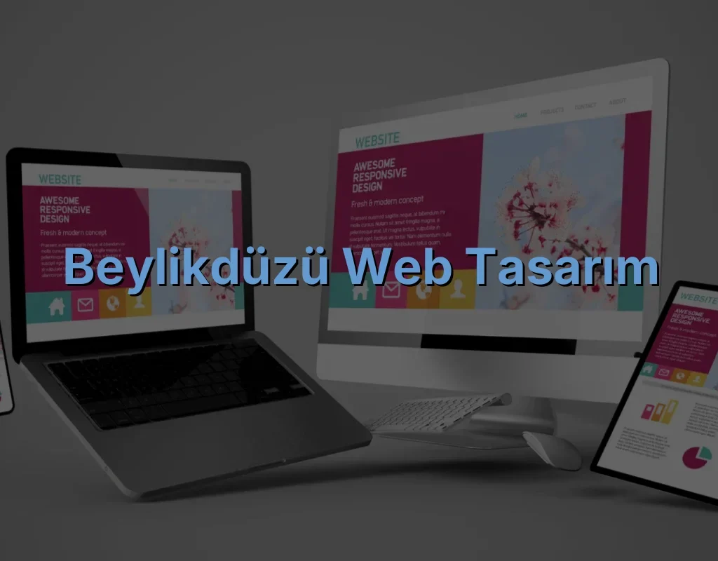 Beylikdüzü Web Tasarım
