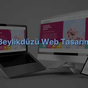 Beylikdüzü Web Tasarım