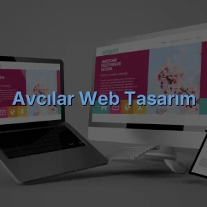 Avcılar Web Tasarım