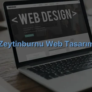 Zeytinburnu Web Tasarım
