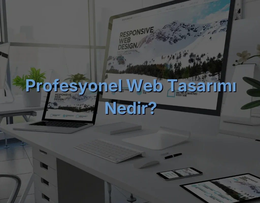 Profesyonel Web Tasarımı Nedir?