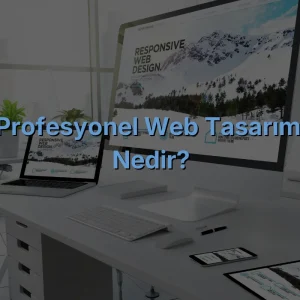 Profesyonel Web Tasarımı Nedir?