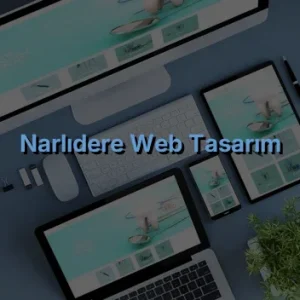 Narlıdere Web Tasarım