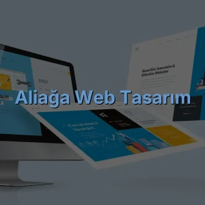 Aliağa Web Tasarım